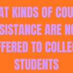What Kinds of Course Assistance Are Now Offered to College Students