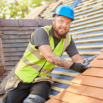 Professional Roofer