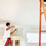 Painter