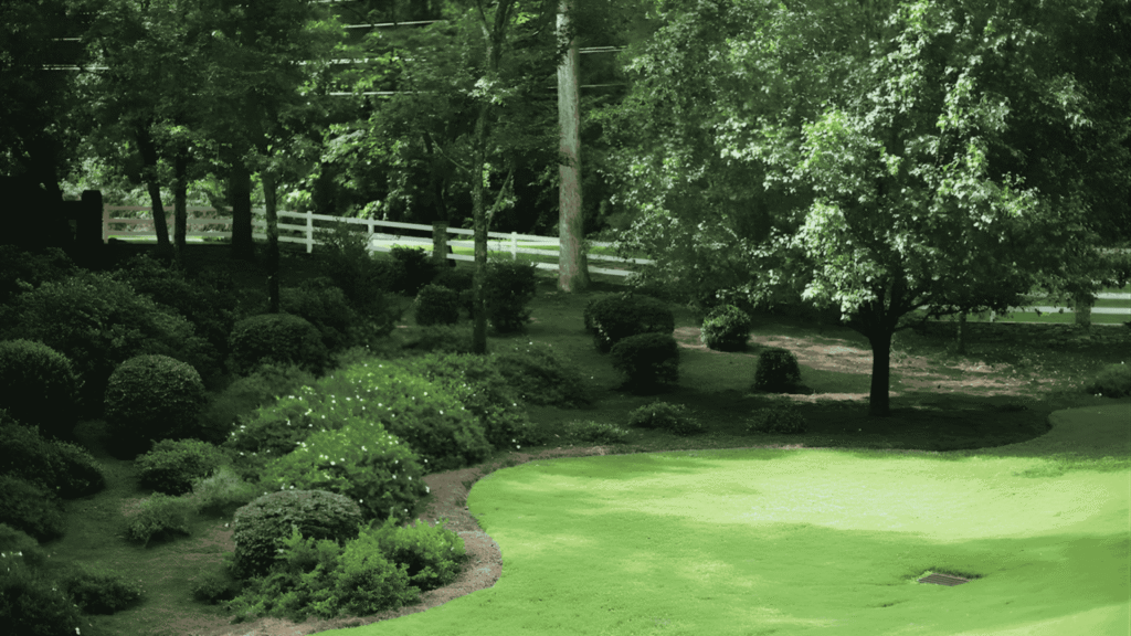 Landscaping