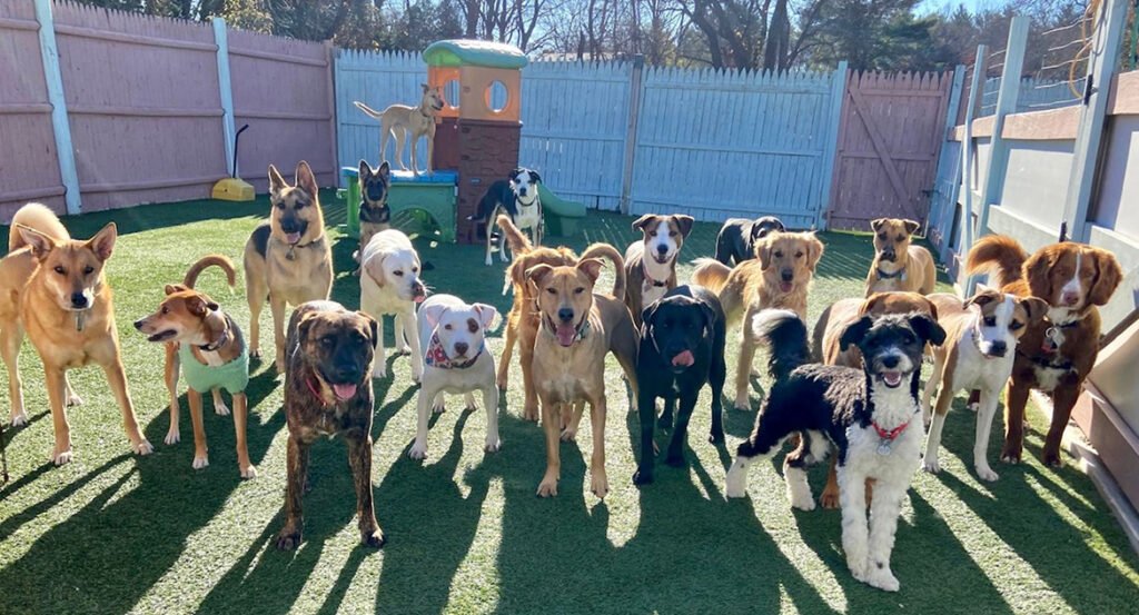 Daycare