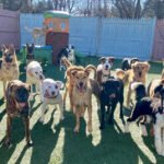 Daycare