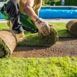 Lawn