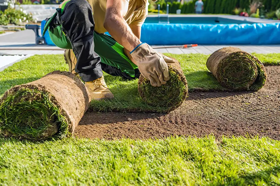 Lawn
