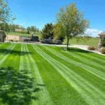 Backyards