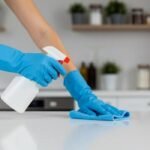 Spotless Home