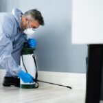 Pest Inspection