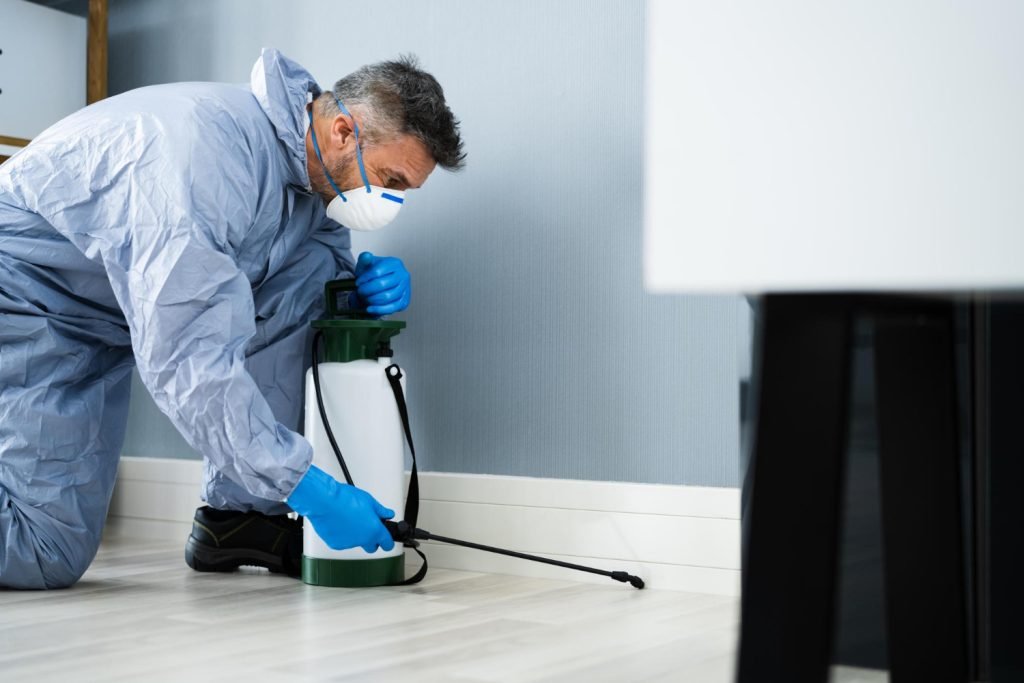Pest Inspection