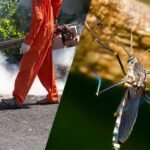 OKC Mosquito Militia