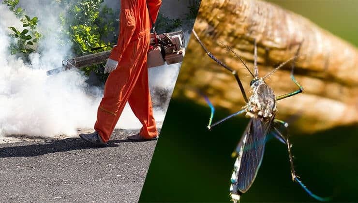 OKC Mosquito Militia