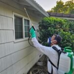 Why Your Yard Needs Pest Control in Gold River, CA
